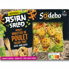 ASIAN SALAD boulettes de poulet