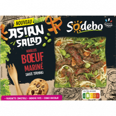 Asian salad bœuf mariné